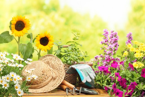 Gardener watering plants in Mitcham