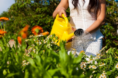 Man and van loading green waste from a suburban garden